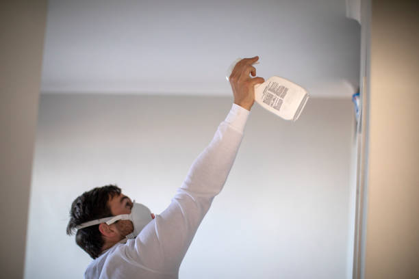 Best Professional Mold Removal  in Ellensburg, WA