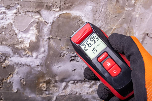 Best Mold Removal Process  in Ellensburg, WA