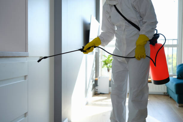 Best Mold Remediation  in Ellensburg, WA