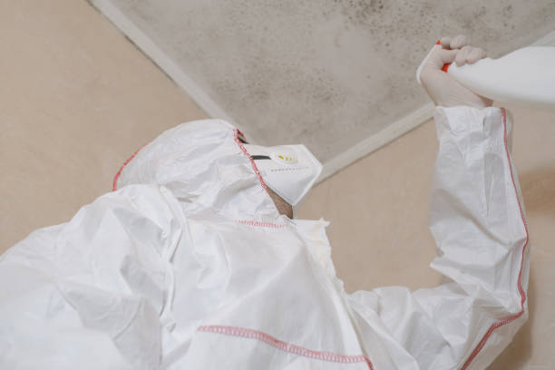 Crawl Space Mold Removal in Ellensburg, WA