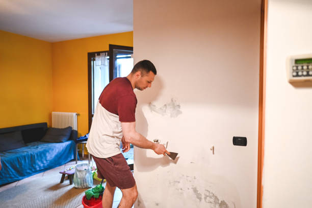Trusted Ellensburg, WA Mold Removal Experts
