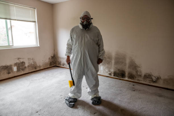 Best Attic Mold Removal  in Ellensburg, WA