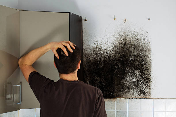 Best Crawl Space Mold Removal  in Ellensburg, WA